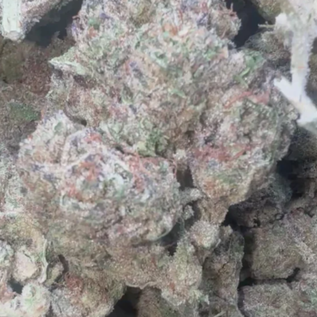 Cheesecake- Bulk - Indica