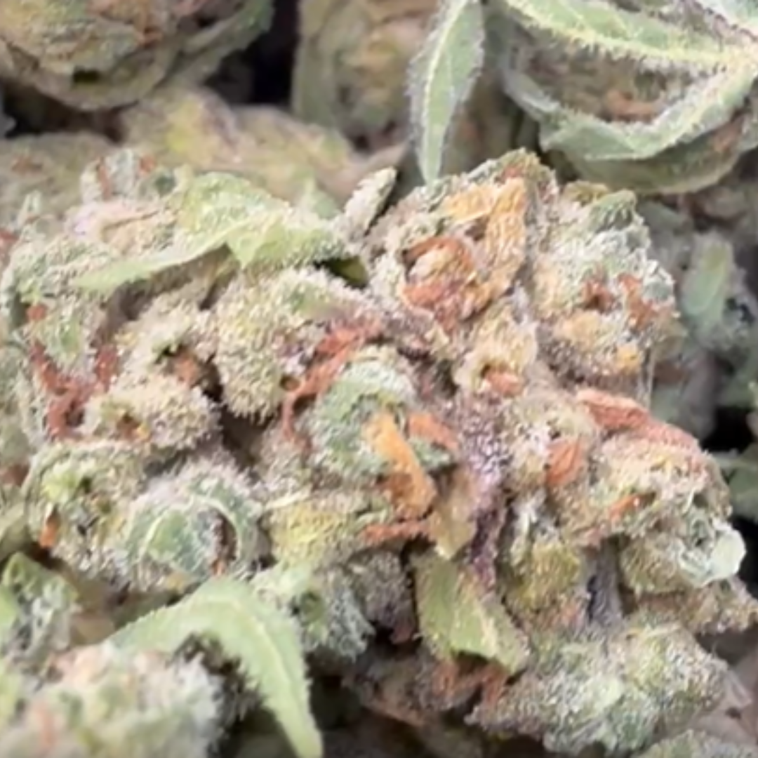 Northern Lights - Bulk - Indica