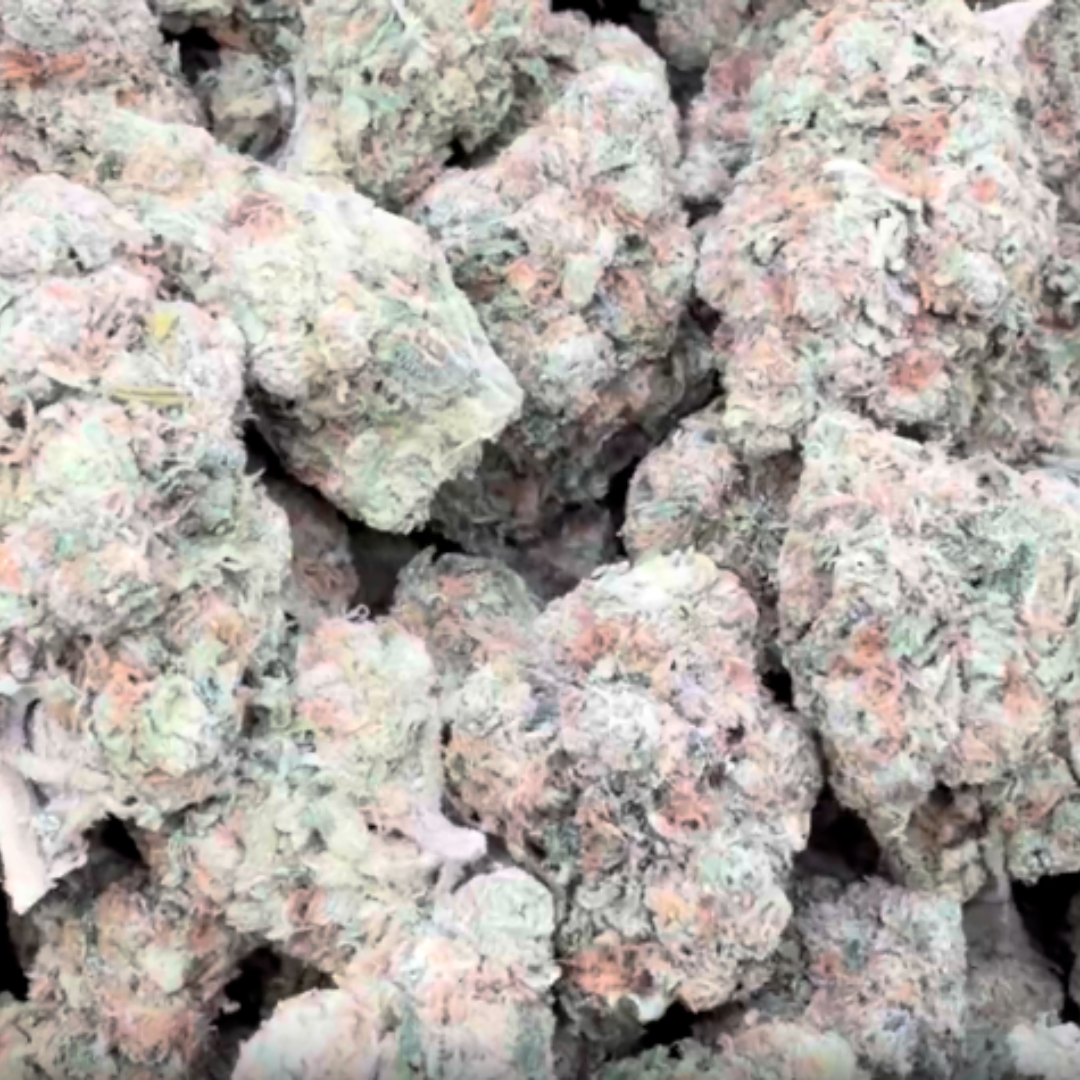 Double Dream - Bulk - Sativa