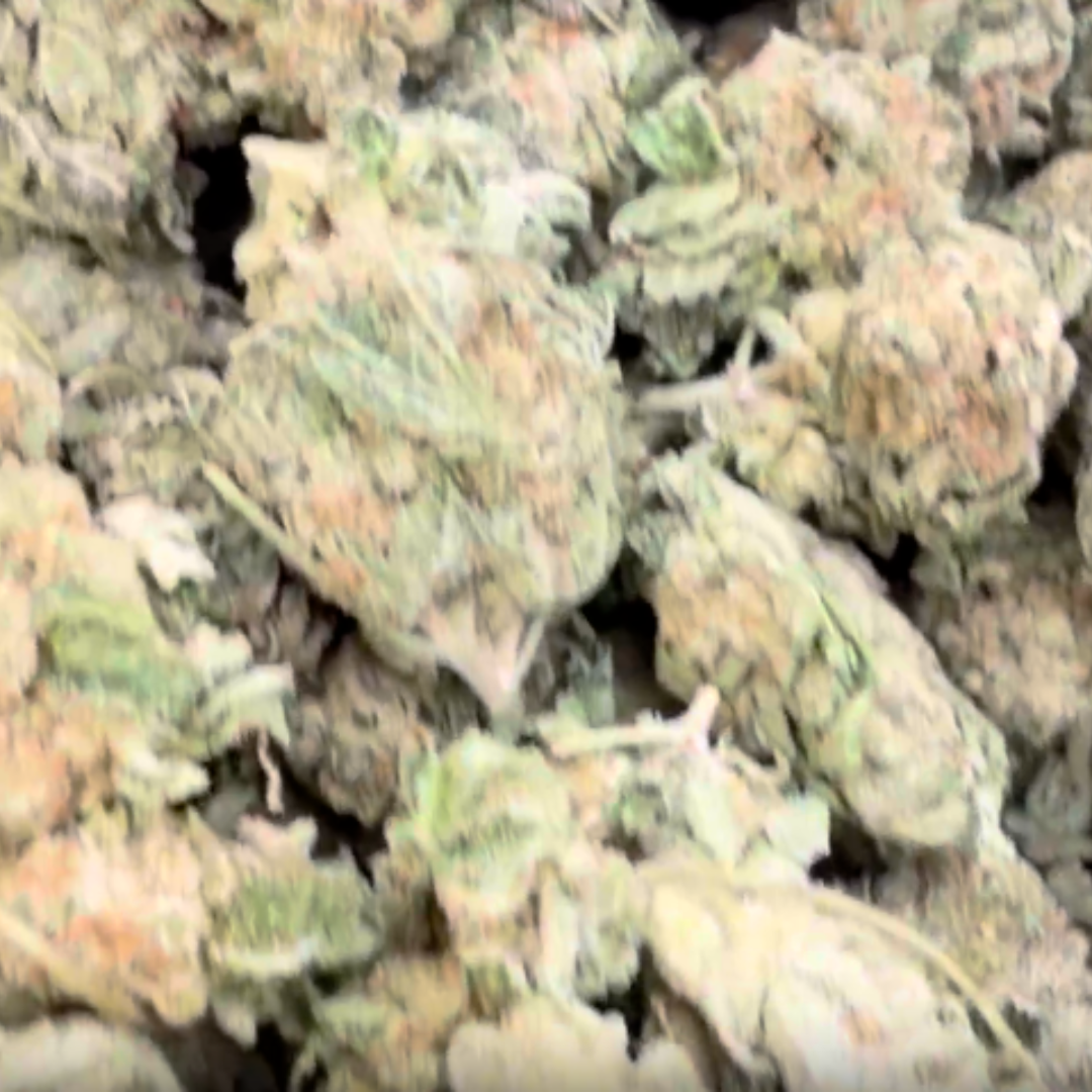 Sherbet & Haze - Bulk - Sativa