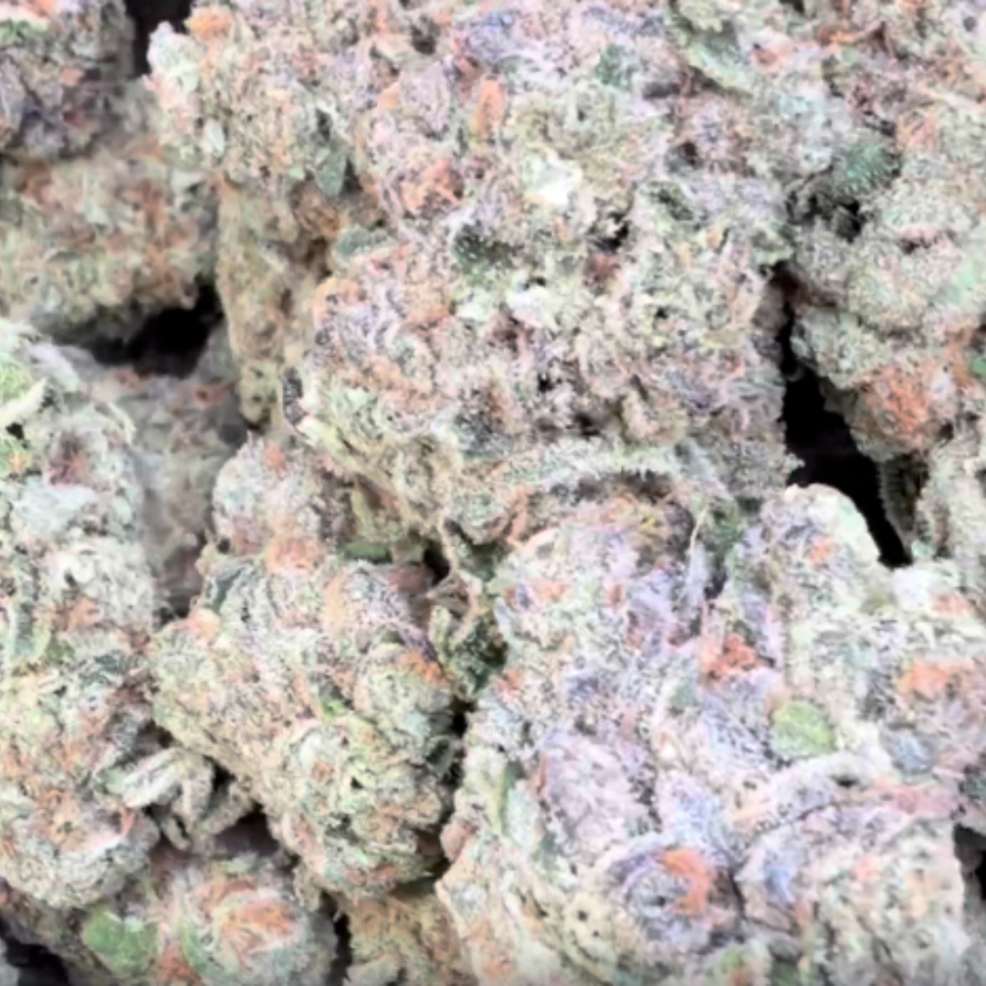 Nimbus Snacks - Bulk - Hybrid