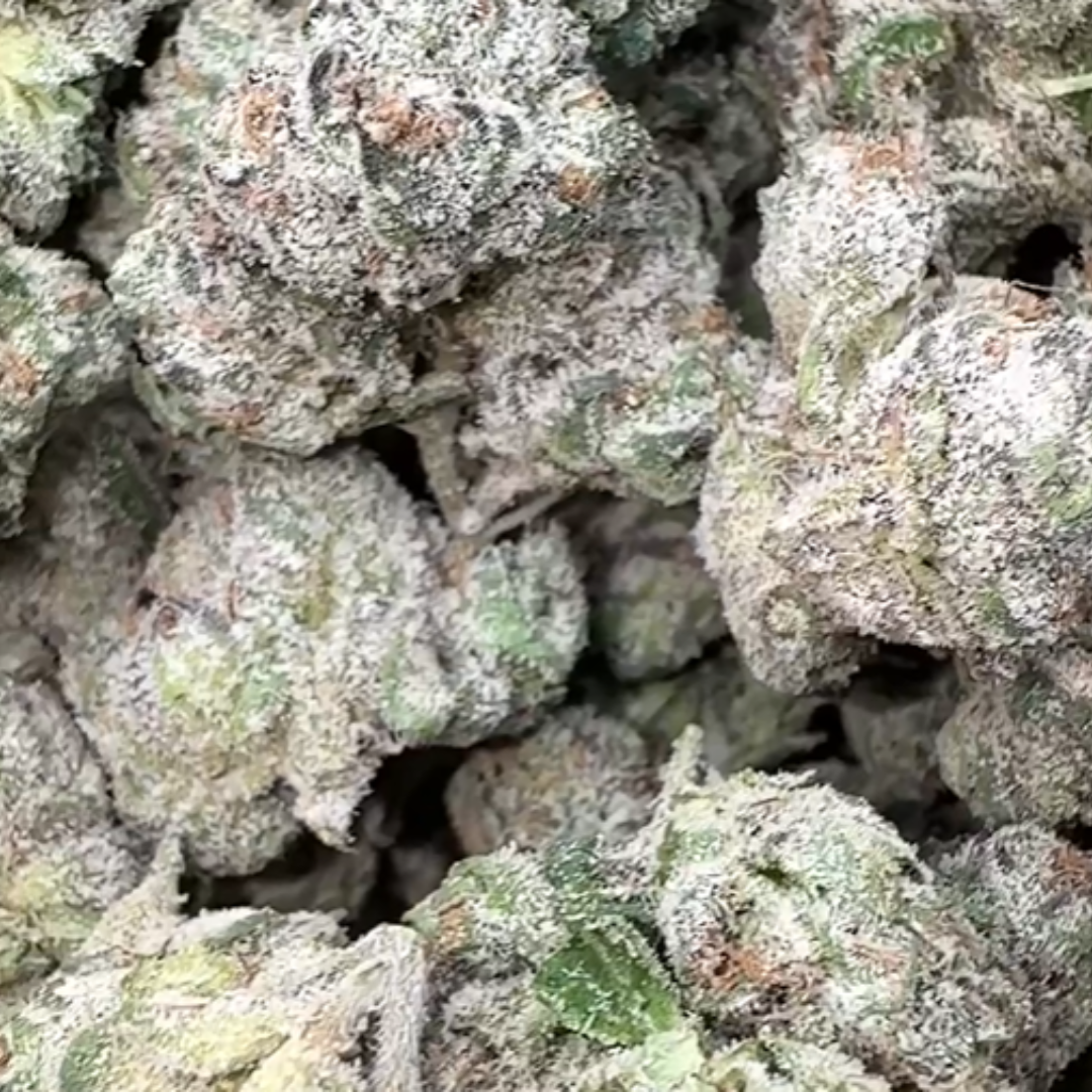 boutique exotics Uncle Snoop - Bulk - Hybrid