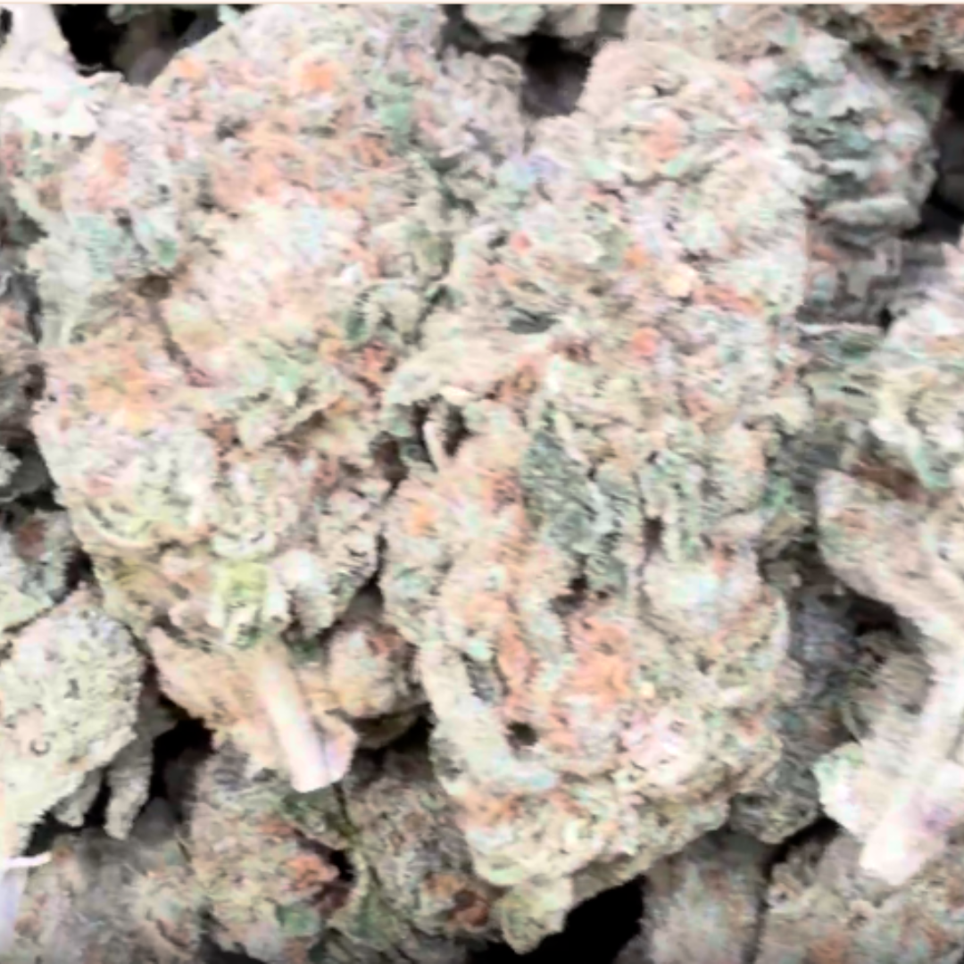 Nimbus Snacks Mediums - Bulk Mediums - Hybrid