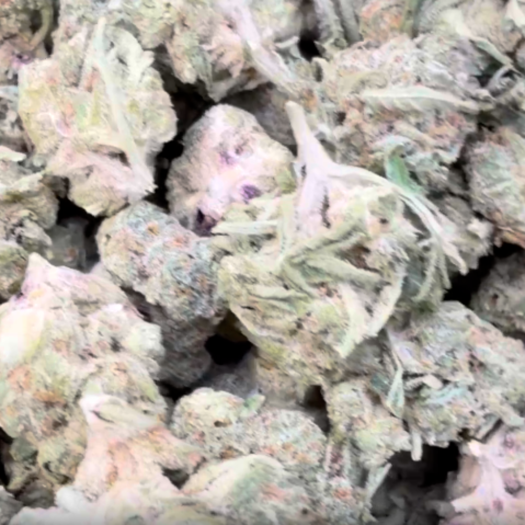 Apple Fritter Mediums - Bulk Mediums - Hybrid