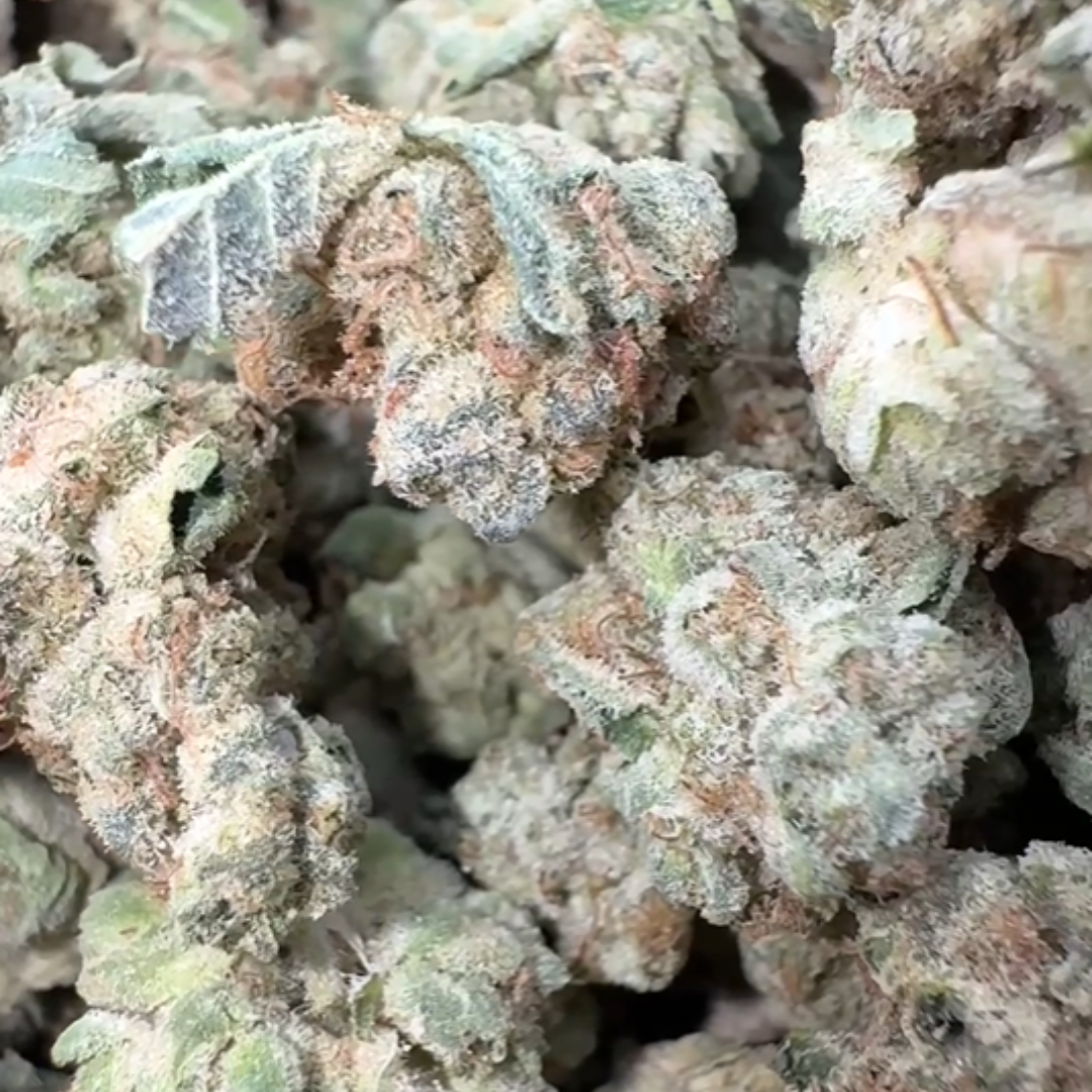 Wedding Cake Minis - Bulk - Minis (Indica)