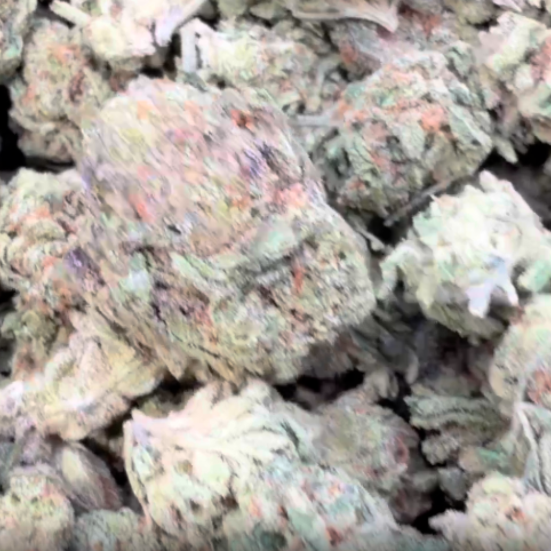 X-Mas Mediums - Bulk Mediums - Indica