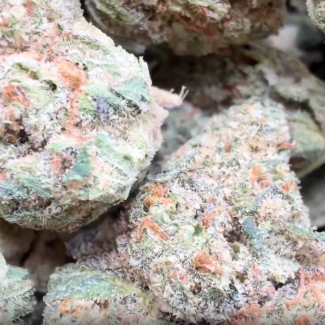 Facetz Mediums - Bulk Mediums - Indica