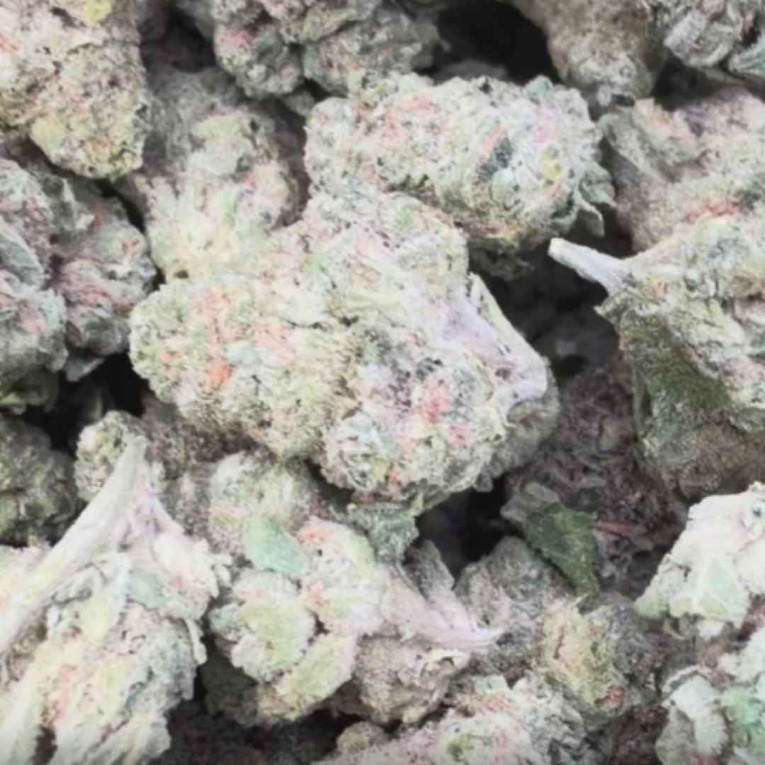 Gusher Mintz Mediums - Bulk Mediums - Hybrid