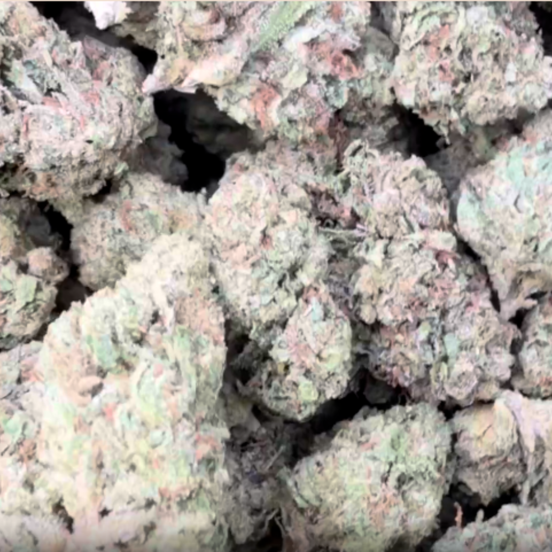 Lemon Fuel OG - Bulk - Hybrid