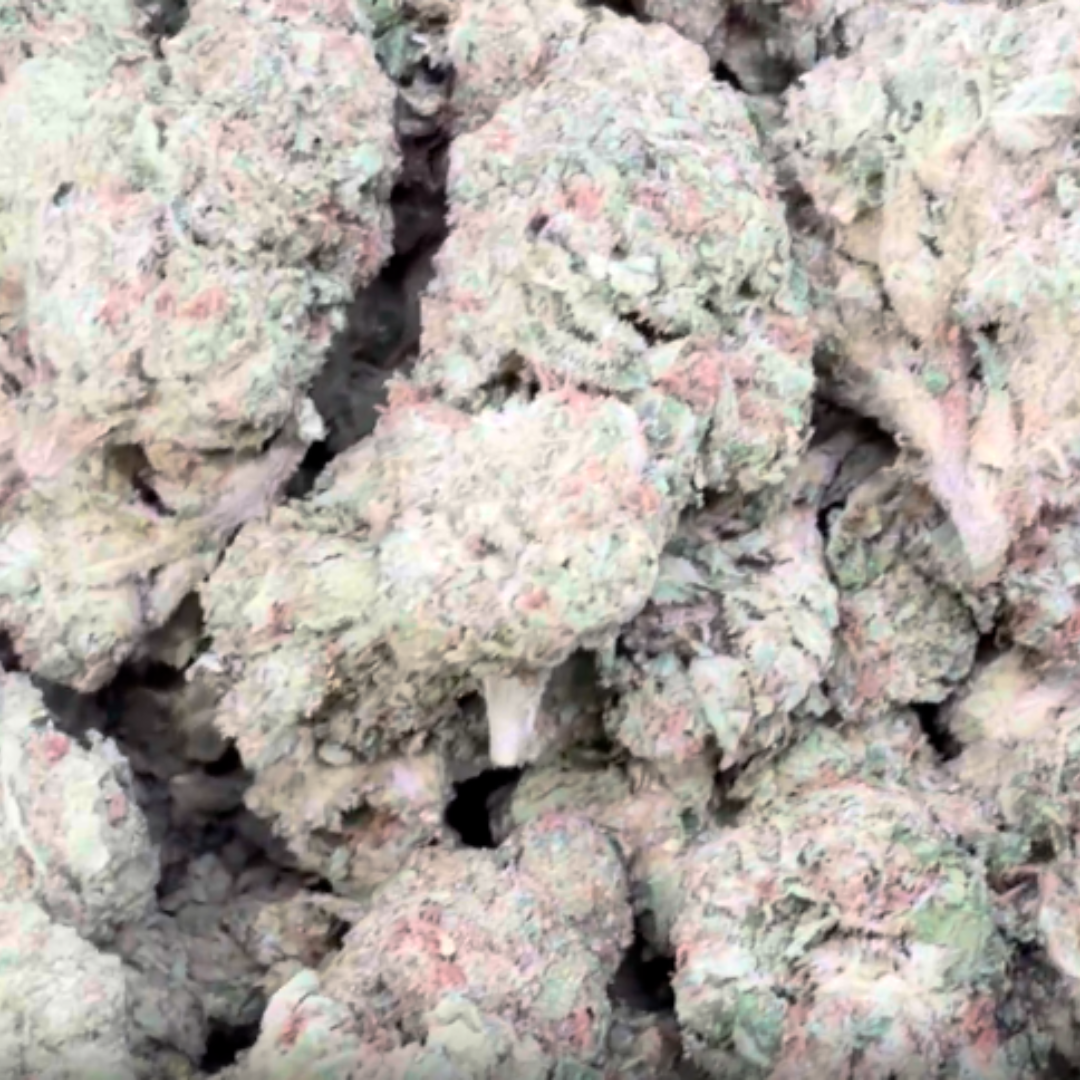 Blue Andes OG - Bulk - Hybrid