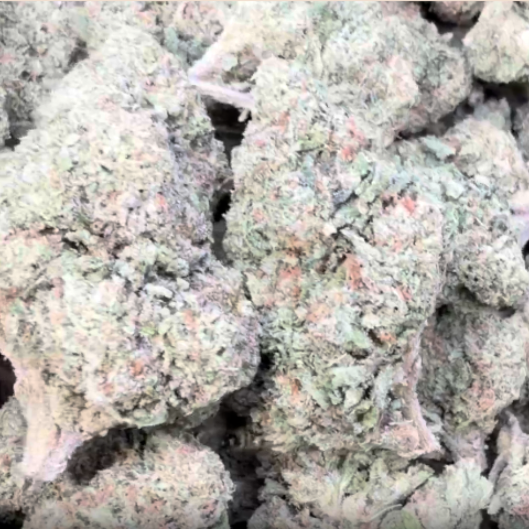 Oakland Runtz - Bulk - Hybrid