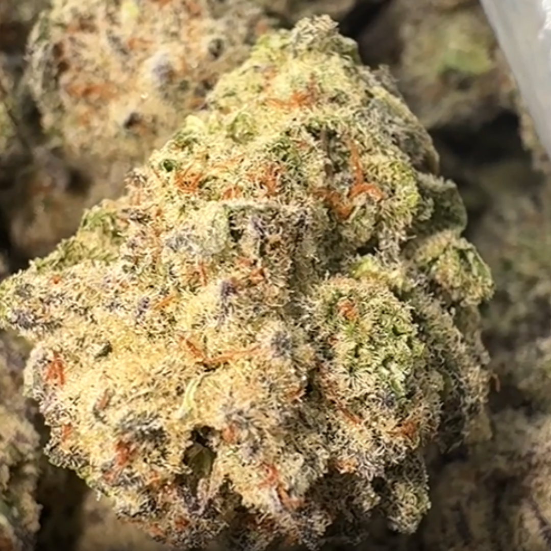 Oreoz - Bulk - Indica