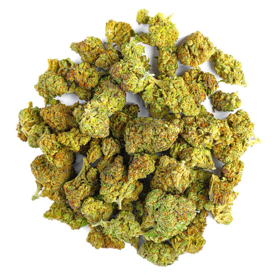 Biscotti Cake - 28 Grams (Hybrid)