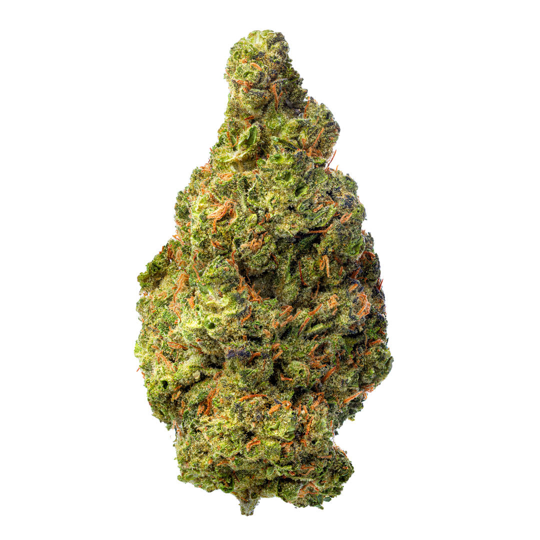 Biscotti Cake - 28 Grams (Hybrid)