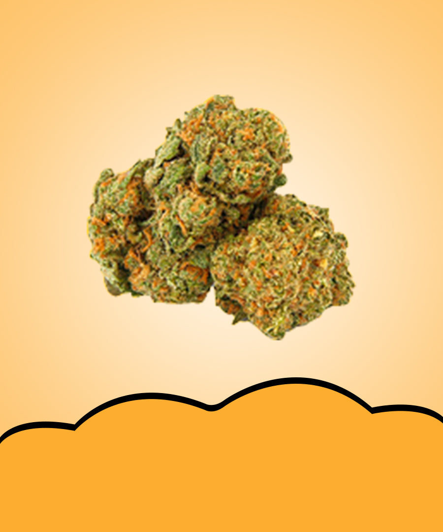 High-quality THCa flower image from THC713 curated cannabis collection